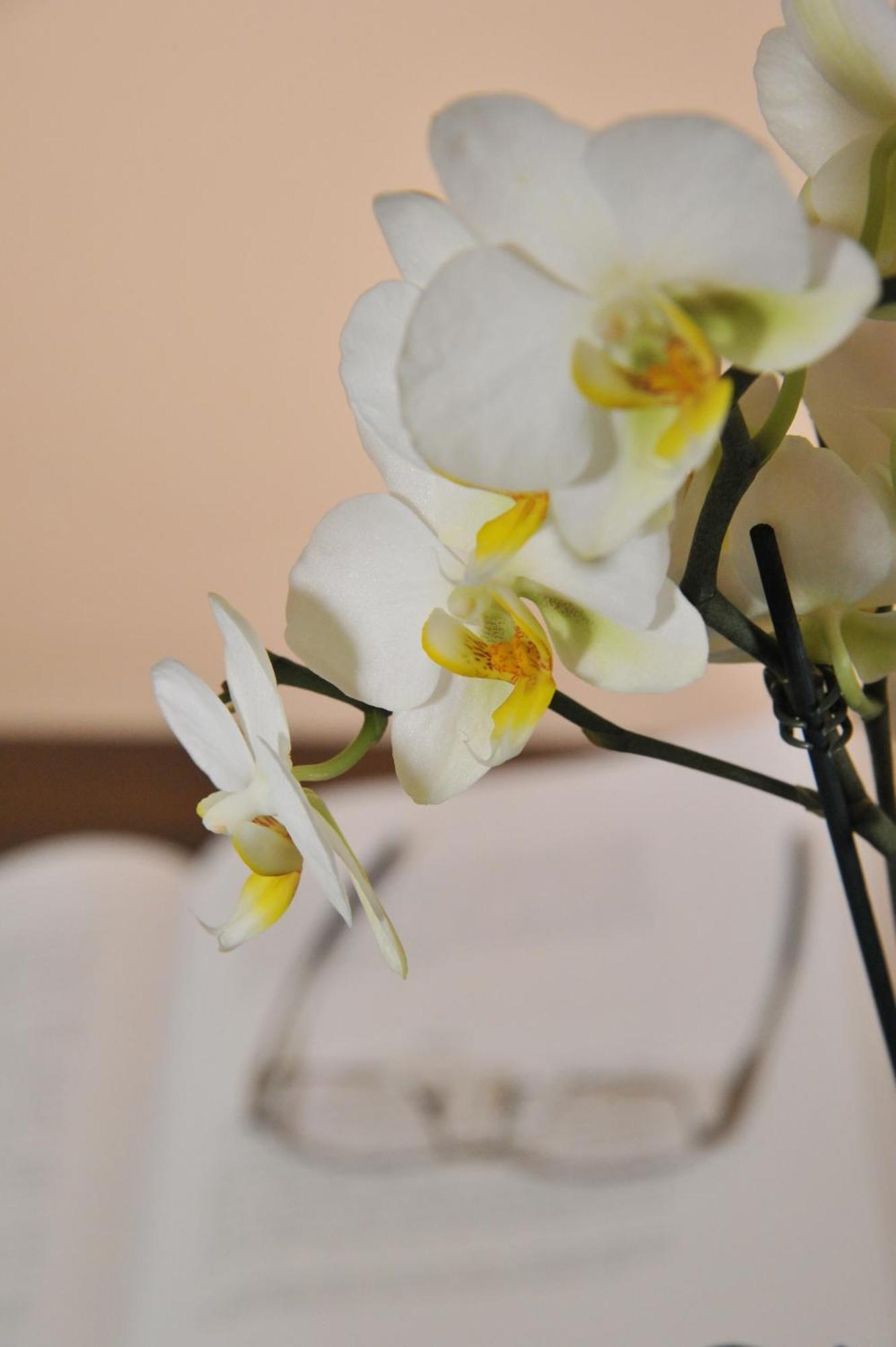 Miravalle Antey-Saint-Andre Ngoại thất bức ảnh